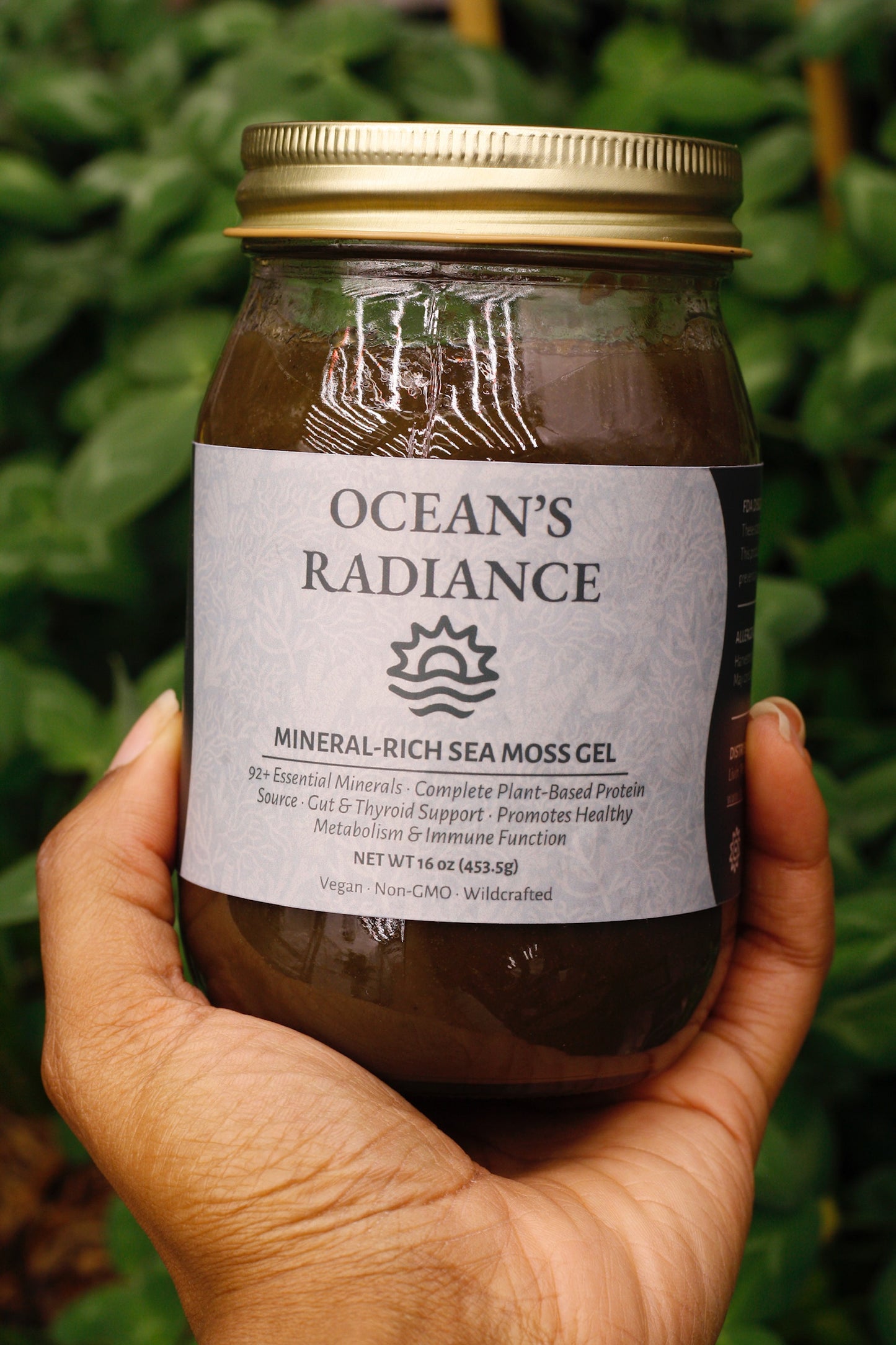 Ocean's Radiance: Wildcrafted Mineral -Rich Sea Moss Gel (16oz)