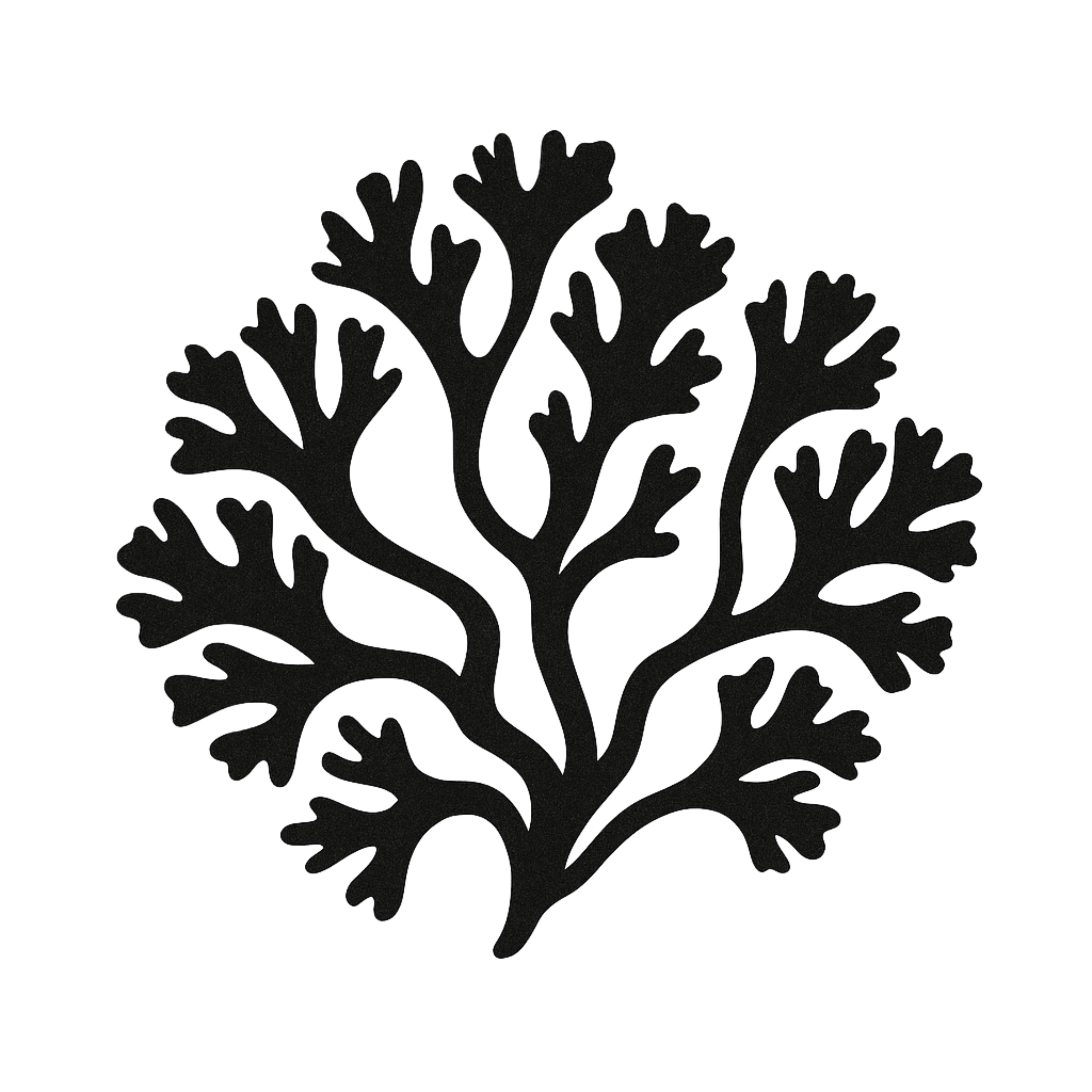 <h3><strong>Chondrus Crispus</strong></h3>