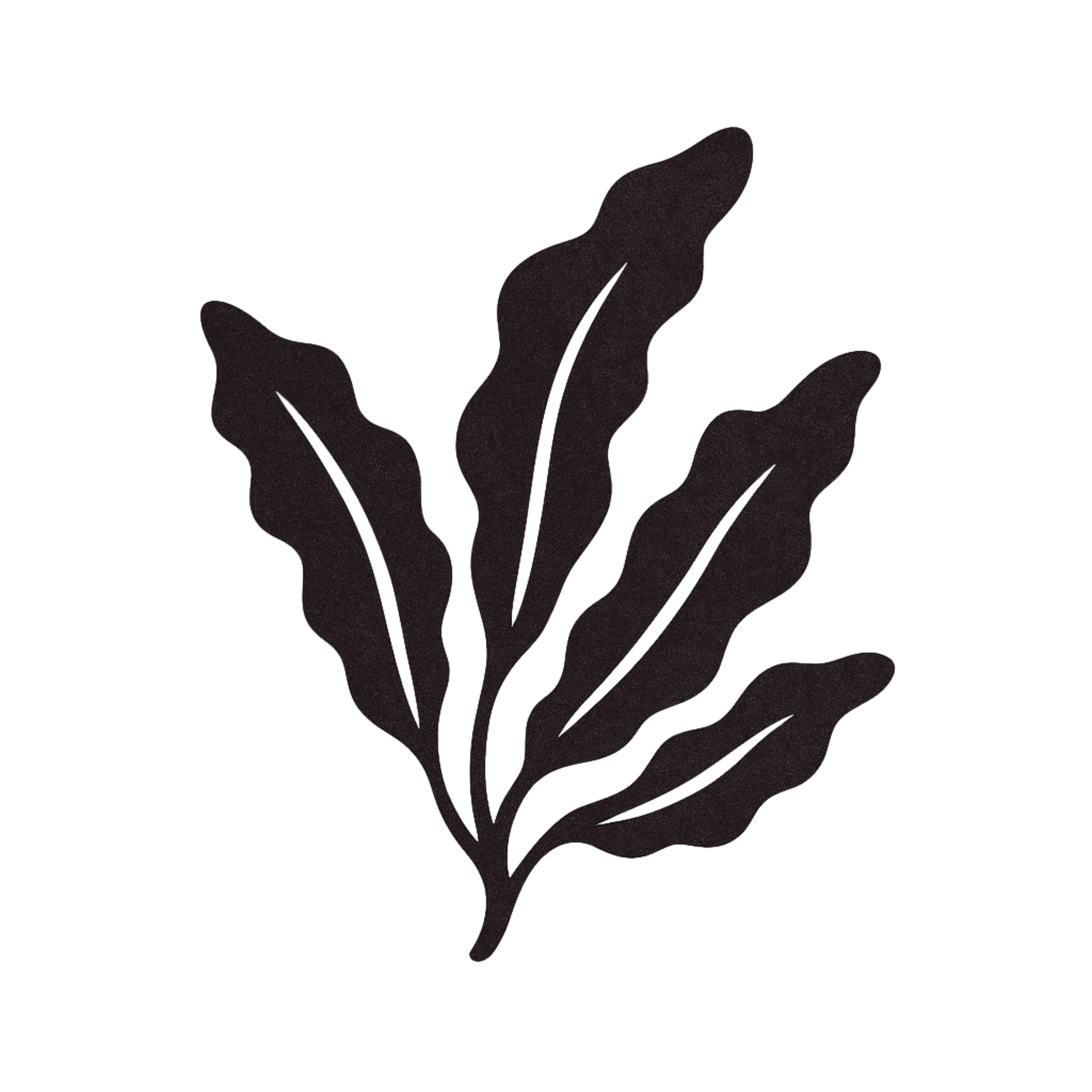 <h3><strong>Dulse</strong></h3>